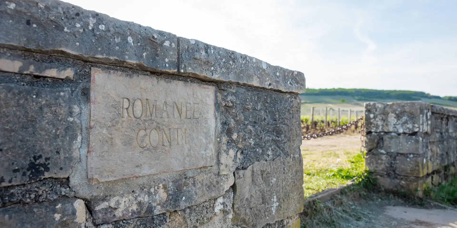 Domaine de la Romanée-Conti - Burgund - Impressionen 5